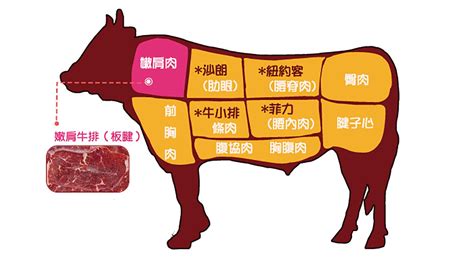 牛肉位置|牛排–牛肉各部位名称图解